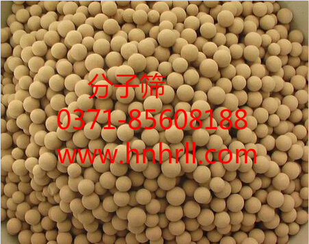 ����ɸ���������������