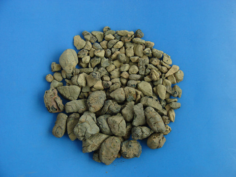 ����ҳ������